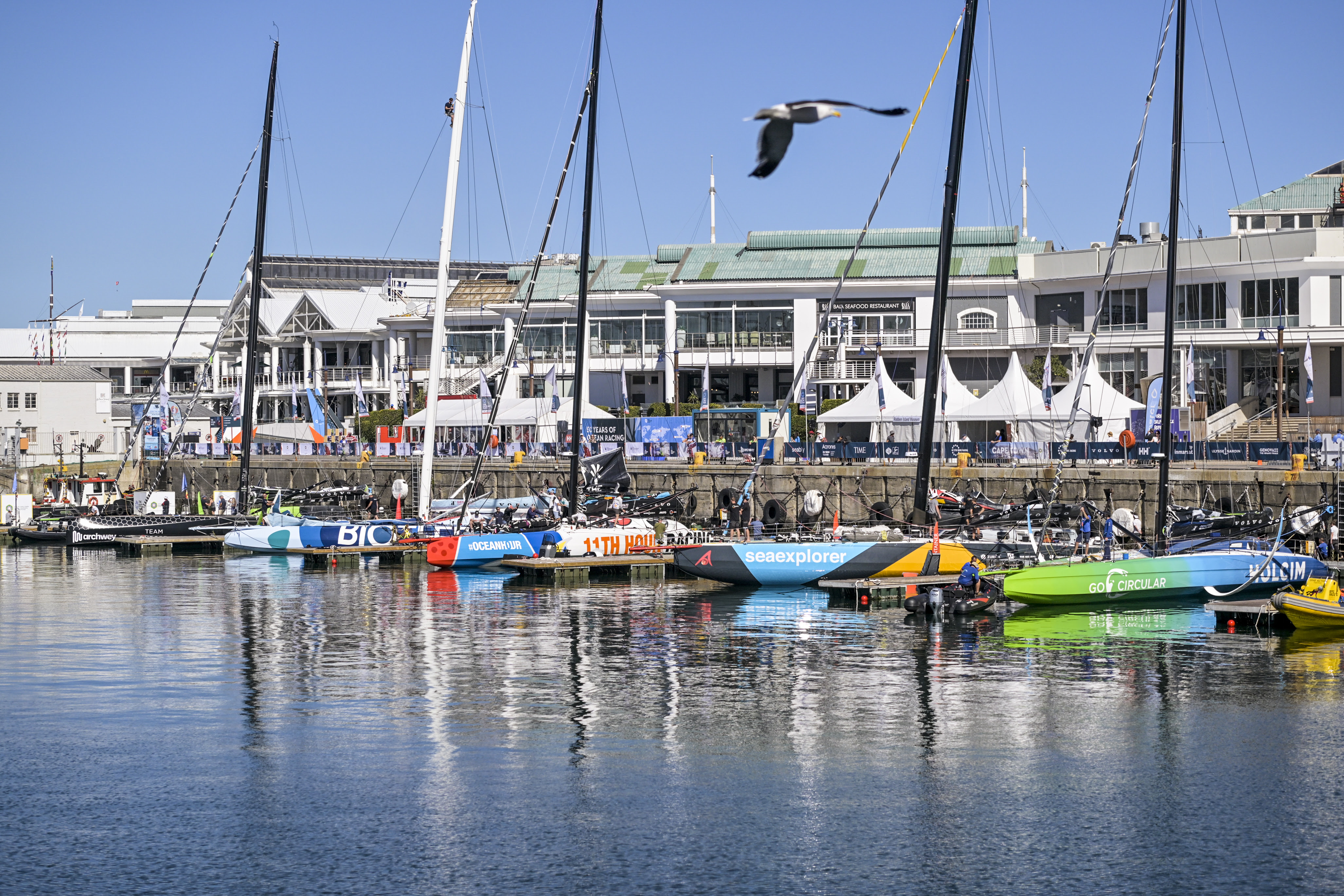 How to Follow the Cape Town In-Port Race 