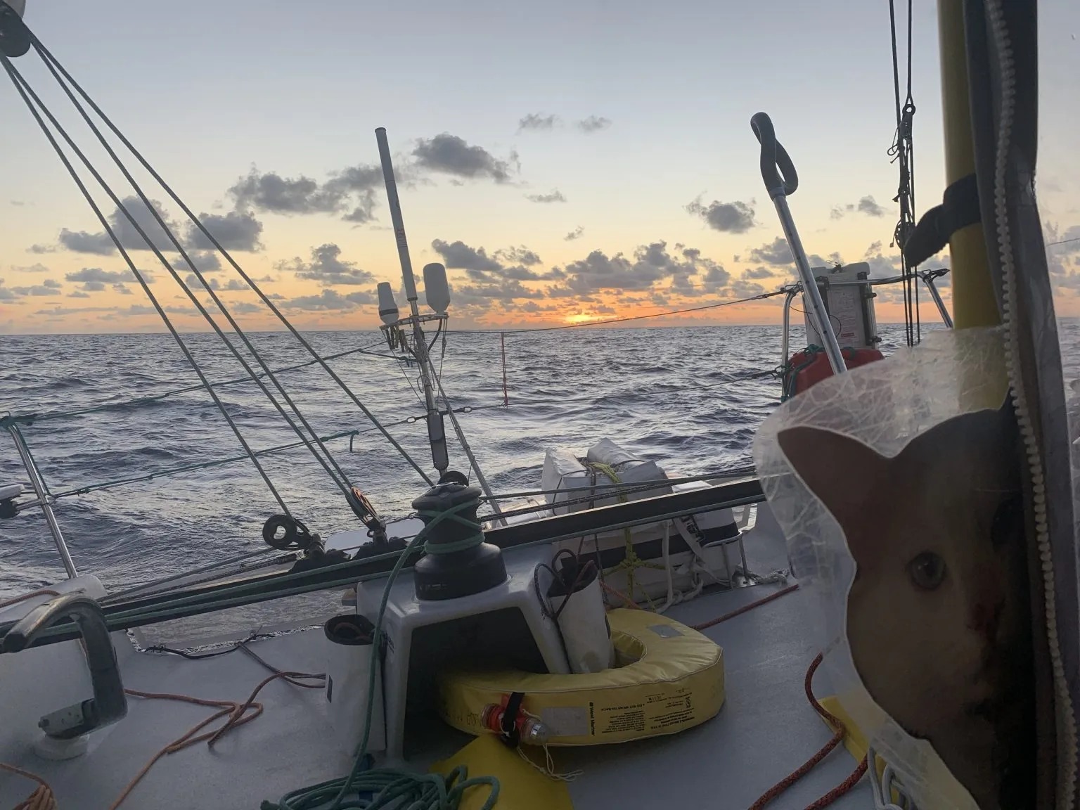 Four skippers still battling to finish the Global Solo Challenge